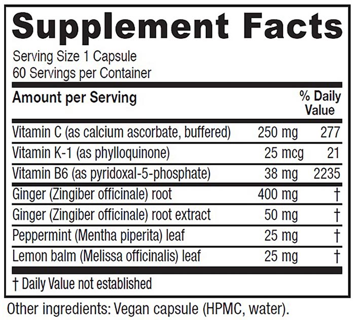 Nausea Ease, GI Support, 60 Vegetarian Capsules, Vitanica