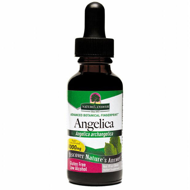 Angelica Root Extract Liquid 1 oz from Nature's Answer