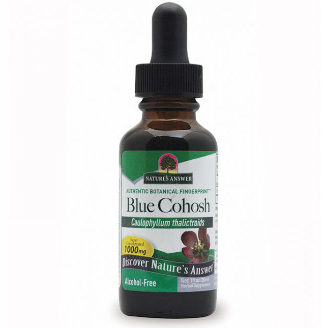 Blue Cohosh Alcohol-Free Extract Liquid, 1 oz, Nature's Answer