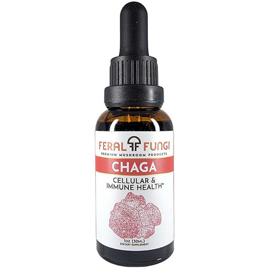 Chaga, 1 oz, Feral Fungi