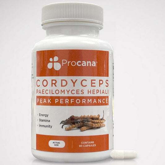 Cordyceps Mushroom Formula, 90 Capsules, Procana Laboratories