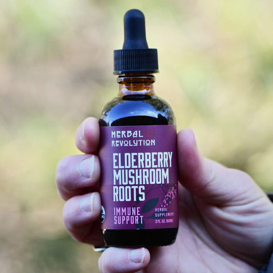 Elderberry Mushroom + Roots Elixir, 2 oz, Herbal Revolution