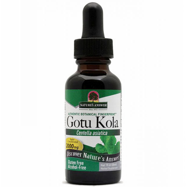 Gotu Kola Herb Extract Liquid Alcohol-Free, 1 oz, Nature's Answer