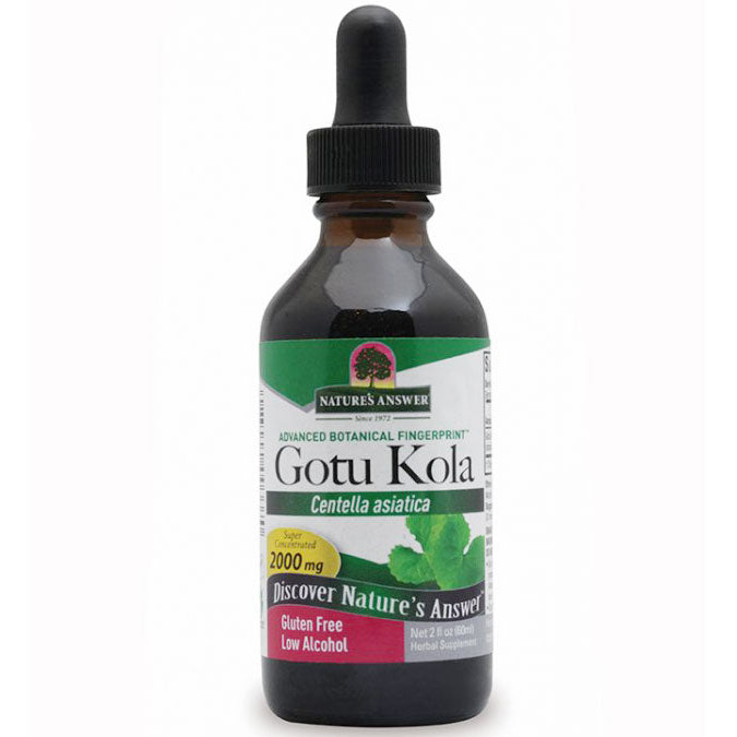 Gotu-Kola Herb Extract Liquid (GotuKola) 2 oz from Nature's Answer ...