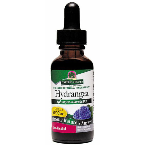 Hydrangea Root Extract Liquid 1 oz from Nature's Answer