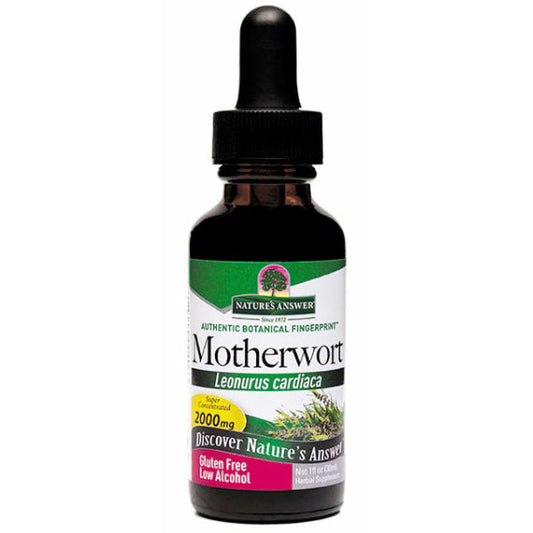 Motherwort Herb Extract Liquid 1 oz from Nature's Answer