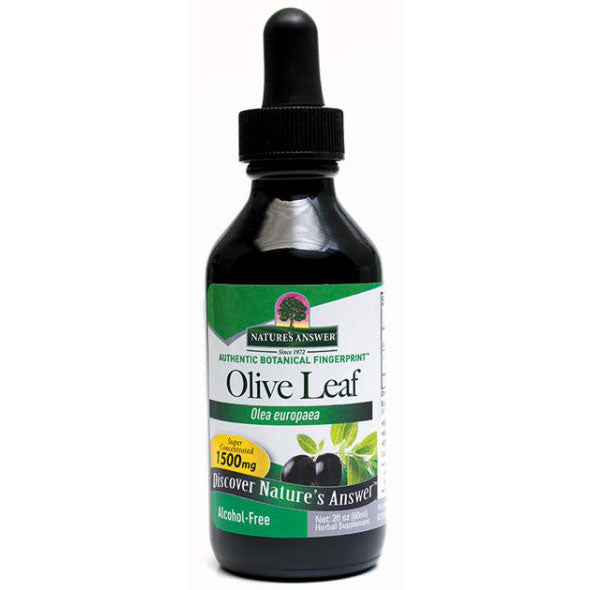 Olive Leaf Extract Liquid Alcohol-Free, 2 oz, Nature's Answer