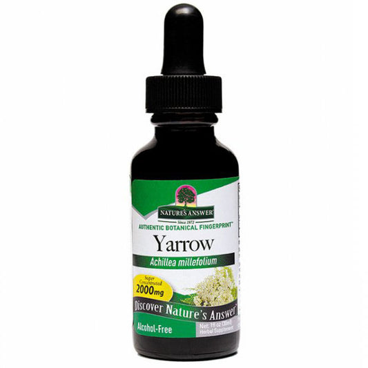 Yarrow Flowers Alcohol Free Liquid Extract 1 oz from Nature's Answer