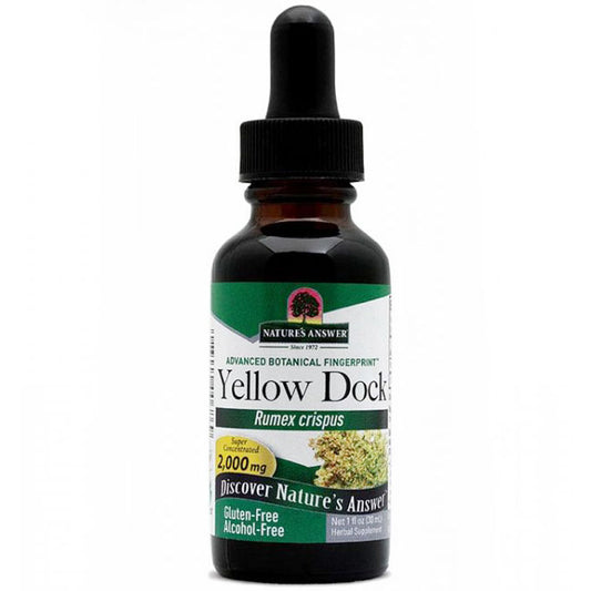 Yellowdock (Yellow Dock) Alcohol Free Extract Liquid 1 oz from Nature's Answer